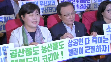 이해찬 "소상공인·자영업 기본법 올해 반드시 통과" / YTN