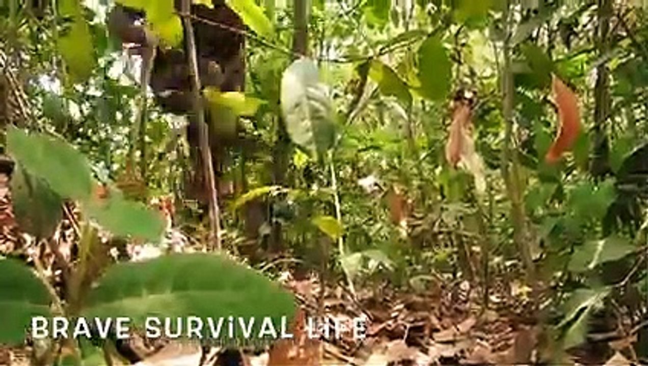 primitive technology Digging Deep Awesome Underground Swimming Pool & Secret Underground House - hd