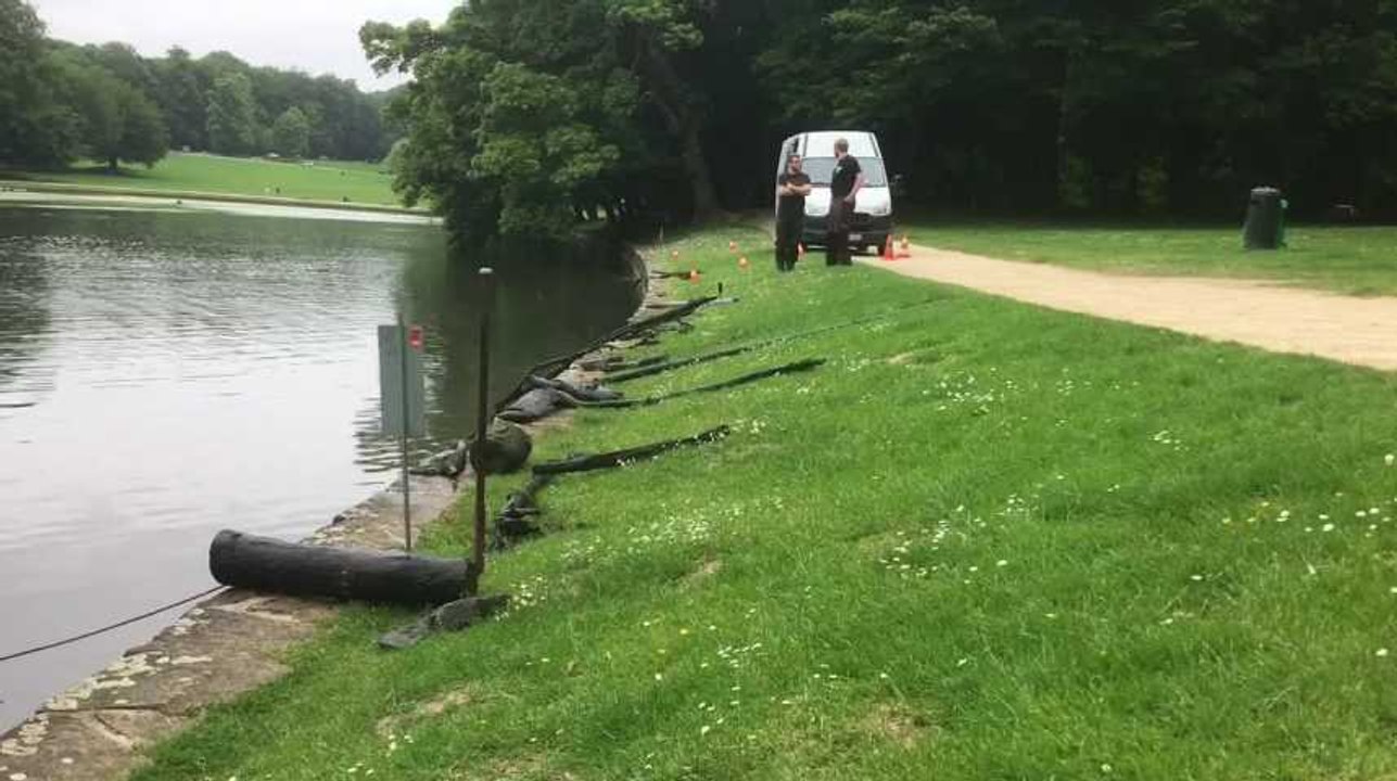 Bruxelles - Nettoyage du fond de l’étang du Bois de la Cambre par Pool is Cool (vidéo Germani)