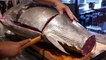 Street Food Market Discovery | Japanese Food - GIANT BLUEFIN TUNA FISH CUTTING Sashimi Bowl Tokyo Japan