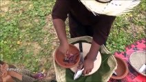 Grillé Voyant Recette de Poisson par la Petite-Fille, Maman  la Vie du Village
