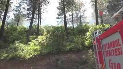 Aydos Ormanı'ndaki yangın kontrol altına alındı