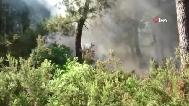 Pendik'teki Aydos Ormanı'na çıkan yangın kontrol altına alındı