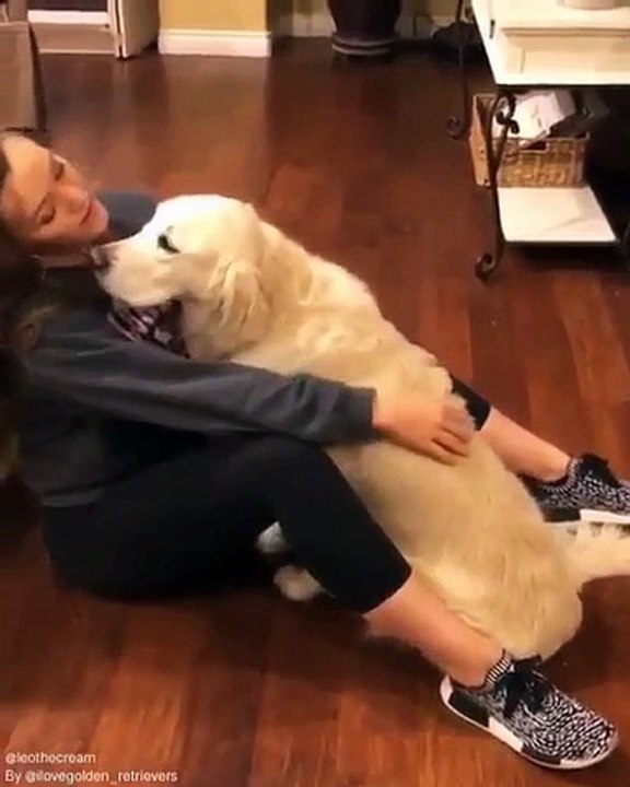 Admirez ce moment de tendresse entre ce chien et sa maîtresse. Trop mimi !