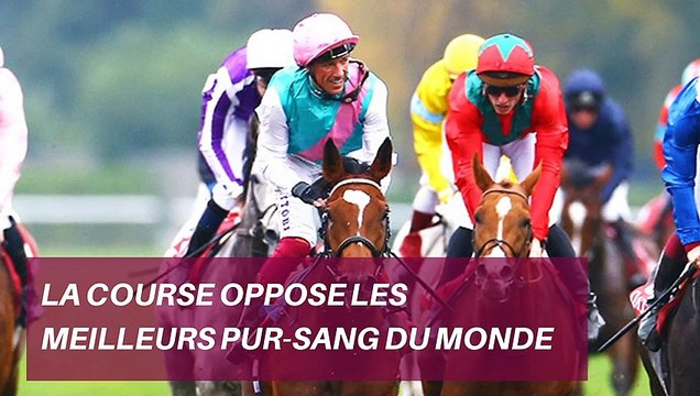 Qatar Prix de l'Arc de Triomphe 2019