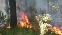 Pendik'teki Aydos ormanlarında yangın çıktı.
