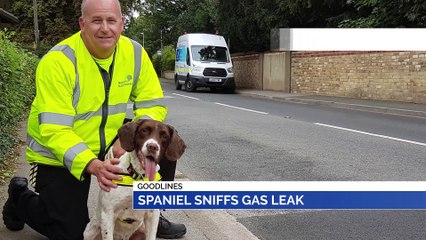 GOODLINES: 4th June 2019