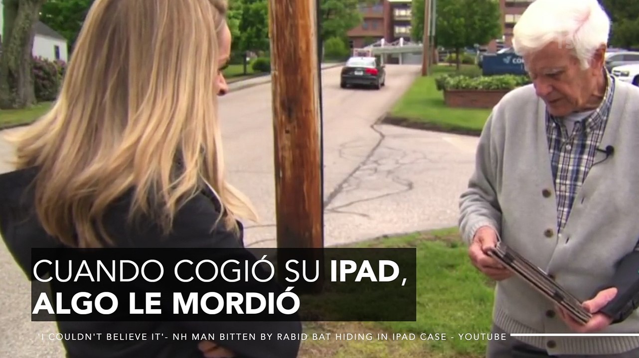 Lo que se esconde detrás de su iPad lo muerde y le pega la rabia