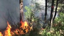Aydos Ormanı'ndaki yangın kontrol altına alındı