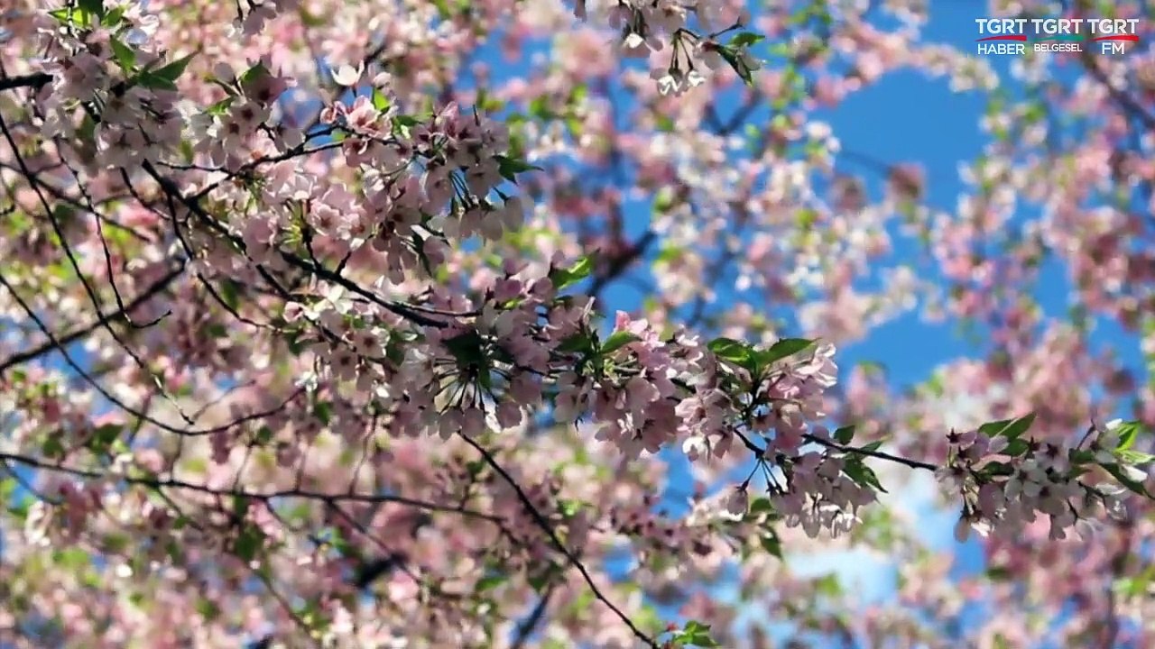HUZURA DOGRU 07062019