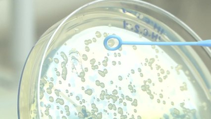 슈퍼박테리아 완전 정복...슈퍼 항생제 개발 / YTN