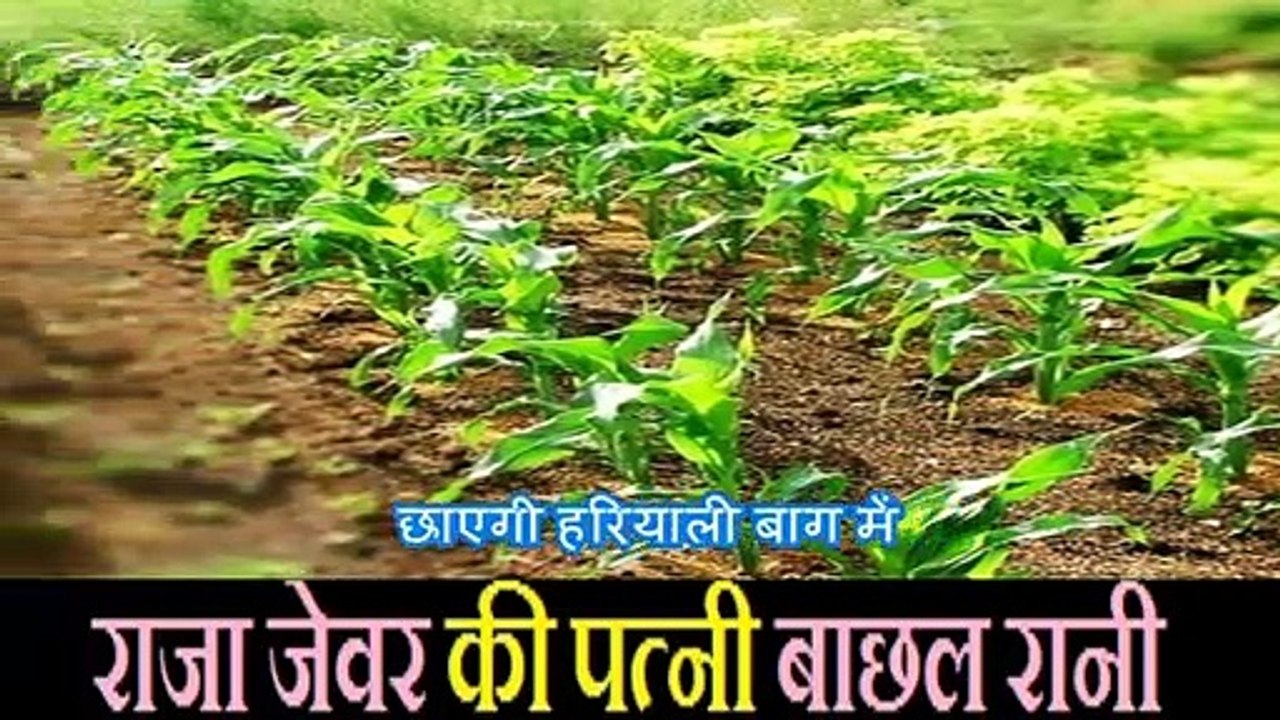 RAJA JEVAR KI PATNI BAACHAL RANI [ है आयी परेशानी ] BHAJAN HINDI