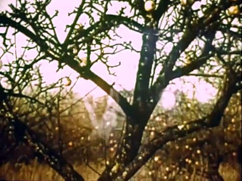 Летопись Чернобыля - Чернобыль. Хлеб на разломе. 1986