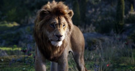 The Lion King Movie - Come Home Simba!