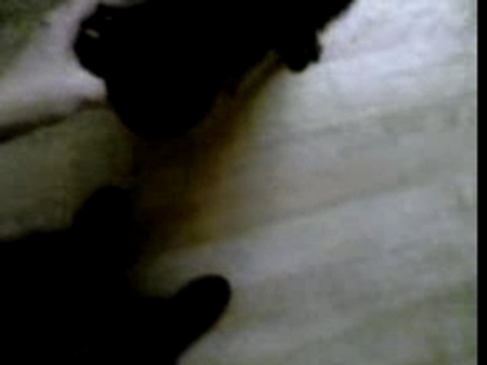 Video 01190001