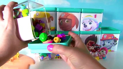 Huge PAW PATROL Surprise Blind Boxes Toy Show - Shopkins Mashems Chocolate Suprises Eggs
