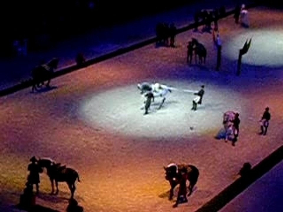Art equestre n°11