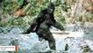 Newly Released Documents Reveal FBI Investigated Bigfoot