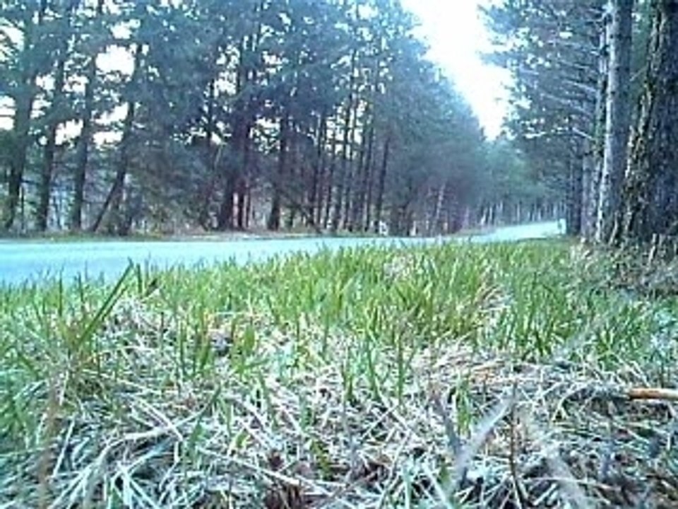 Speedster 2.2 echappement cup admi kn