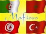 rai maroc algerie tunisie remix funk saltana