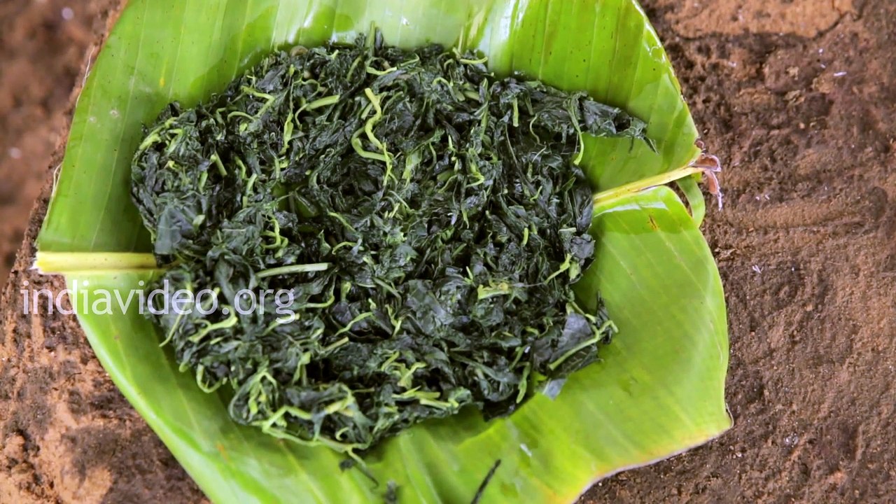 Tribal cuisine made of Spinach - Senthal Adaku India Video
