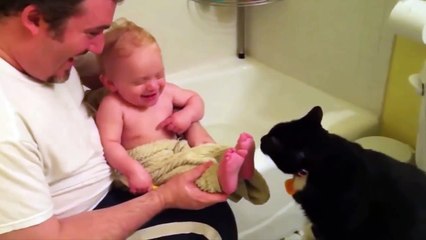 Funny Babies Laughing At Cats