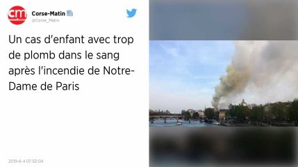Incendie de Notre-Dame. Un cas d’enfant avec trop de plomb dans le sang, un appel au dépistage lancé