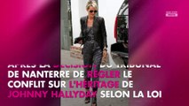 Héritage de Johnny Hallyday : un témoignage inédit de son cousin bientôt diffusé sur C8