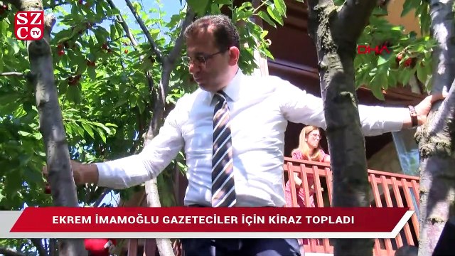 Ekrem İmamoğlu gazeteciler için kiraz topladı
