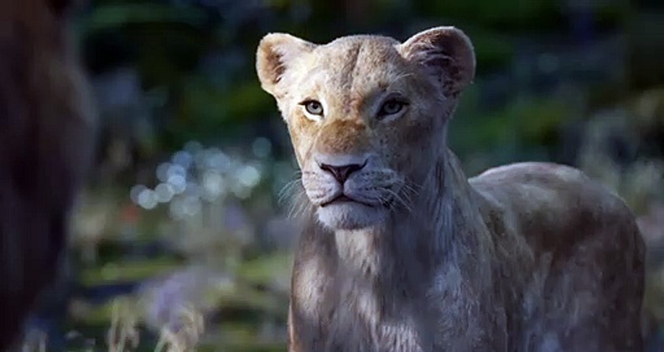 Bande annonce "Le Roi Lion" sorti en salles le 17 Juillet 2019 avec la voix de Beyoncé pour Nala