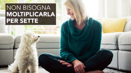 Ecco come scoprire l’età esatta del tuo cane