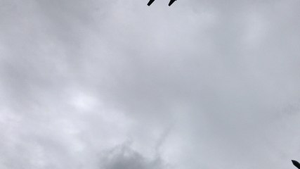 75e D-Day. Cérémonie à Picauville, mardi 4 juin