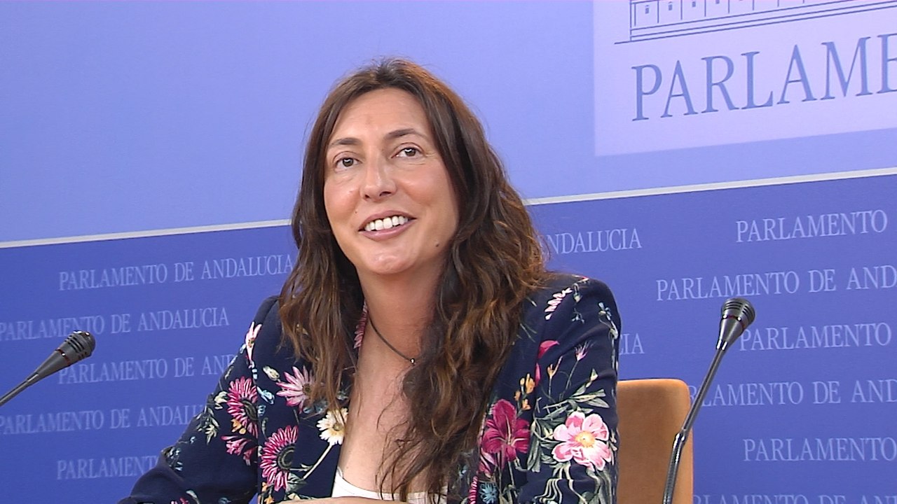 PP-A valora temas de actualidad en el Parlamento