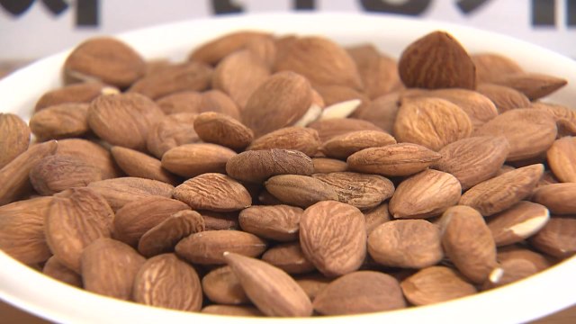 암 치료?...위험한 '살구씨', 인터넷 불법 유통 / YTN