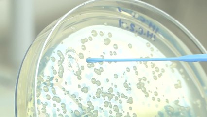 슈퍼박테리아 완전 정복...슈퍼 항생제 개발 / YTN