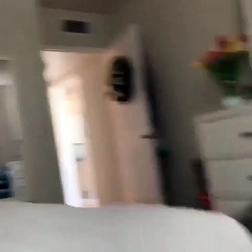 Regardez comment ce chat réagit quand son maître fait des grincements. A mourir de rire !