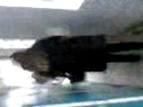 Marine & Sandrine filmé par lea & anais