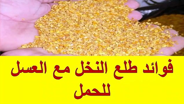 فوائد طلع النخل مع العسل للحمل