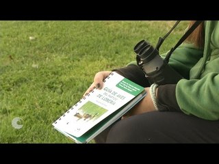 Guía de Aves del Partido de Lobería - Provincia de Buenos Aires (eudem)