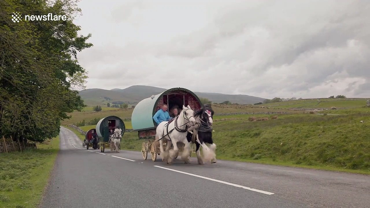 Travellers drive their horse-drawn caravans up steep hill on their way to Appleby Horse Fair