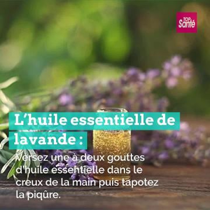 #piqûredemoustique : 4 remèdes naturels #moustiquetigre