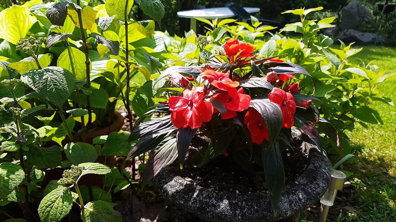 Les jardins privés de Trapelune ouvrent leurs portes