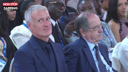 Emmanuel Macron taquine Paul Pogba avant de lui remettre la Légion d'honneur (vidéo)