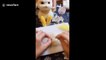 Chinese girl makes Pikachu out of wool after being inspired by 'Pokemon Detective Pikachu'