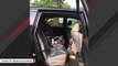 Kids Inside Car Narrowly Escape Injury After Lawnmower-Propelled Metal Spike Crashes Through Window