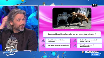 Quiz spécial animaux : Aymeric Caron sera t-il plus fort que les chroniqueurs ?