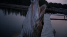 mch 90 gull lake catch it almost got my lip grabber.