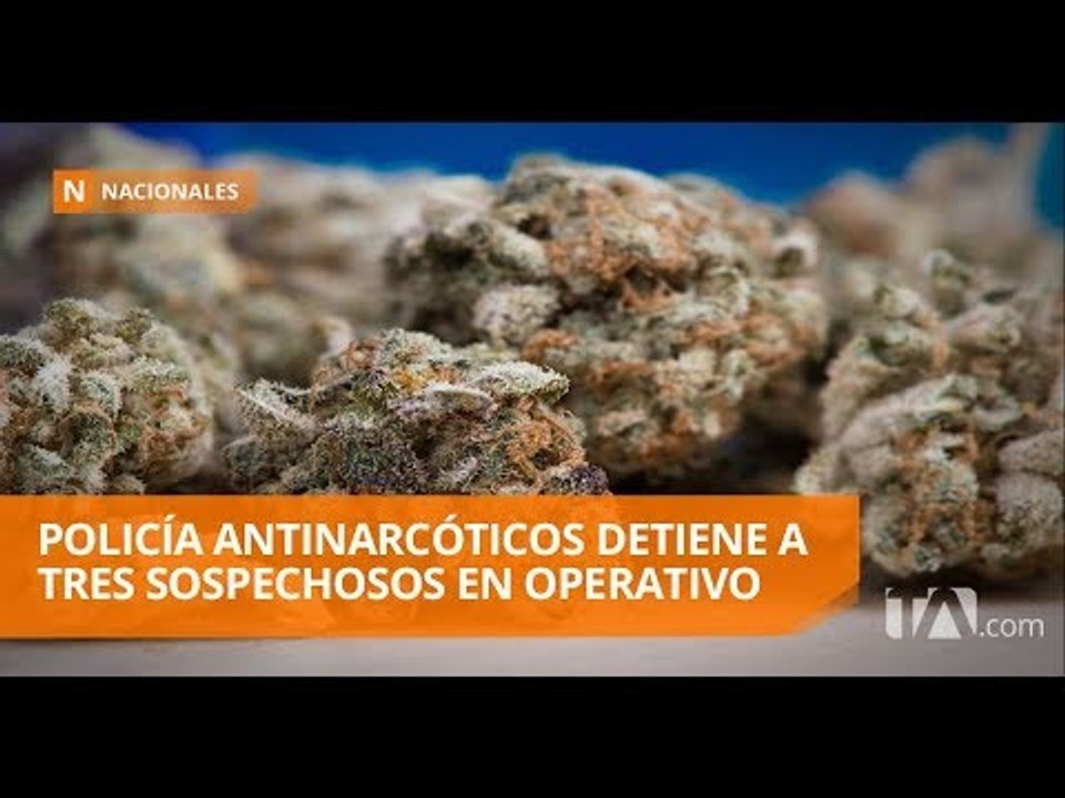 Tres detenidos por microtráfico en Guayaquil - Teleamazonas