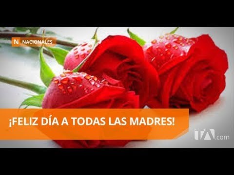 Este domingo se celebra el día de las madres - Teleamazonas