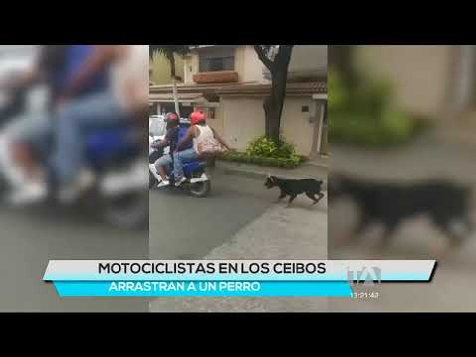 #HoyEcuador #EnVivoTA